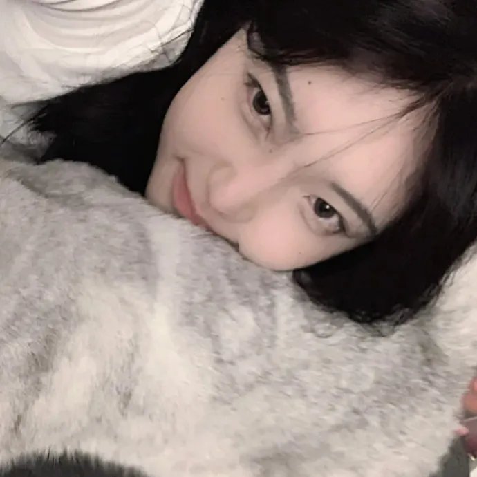 荡女狂夫封面